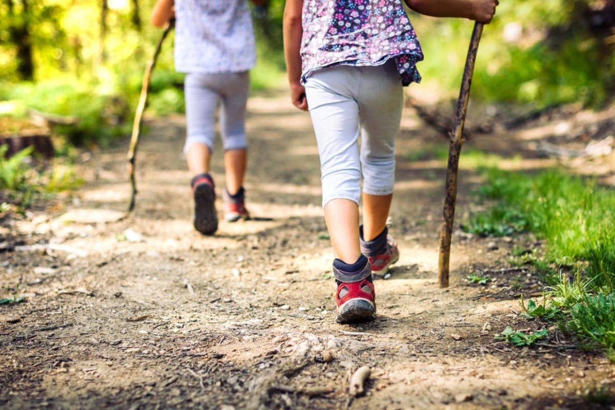 Two children hiking in a forest.