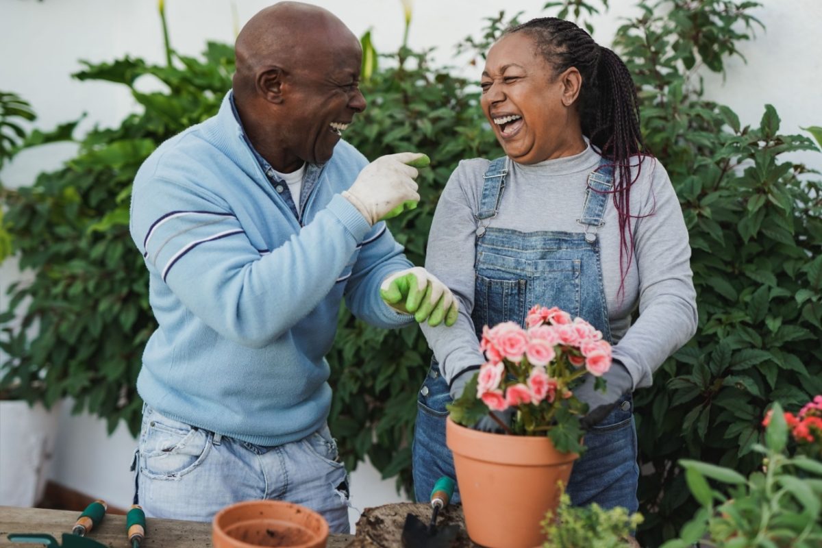 A couple laughing together while gardening.