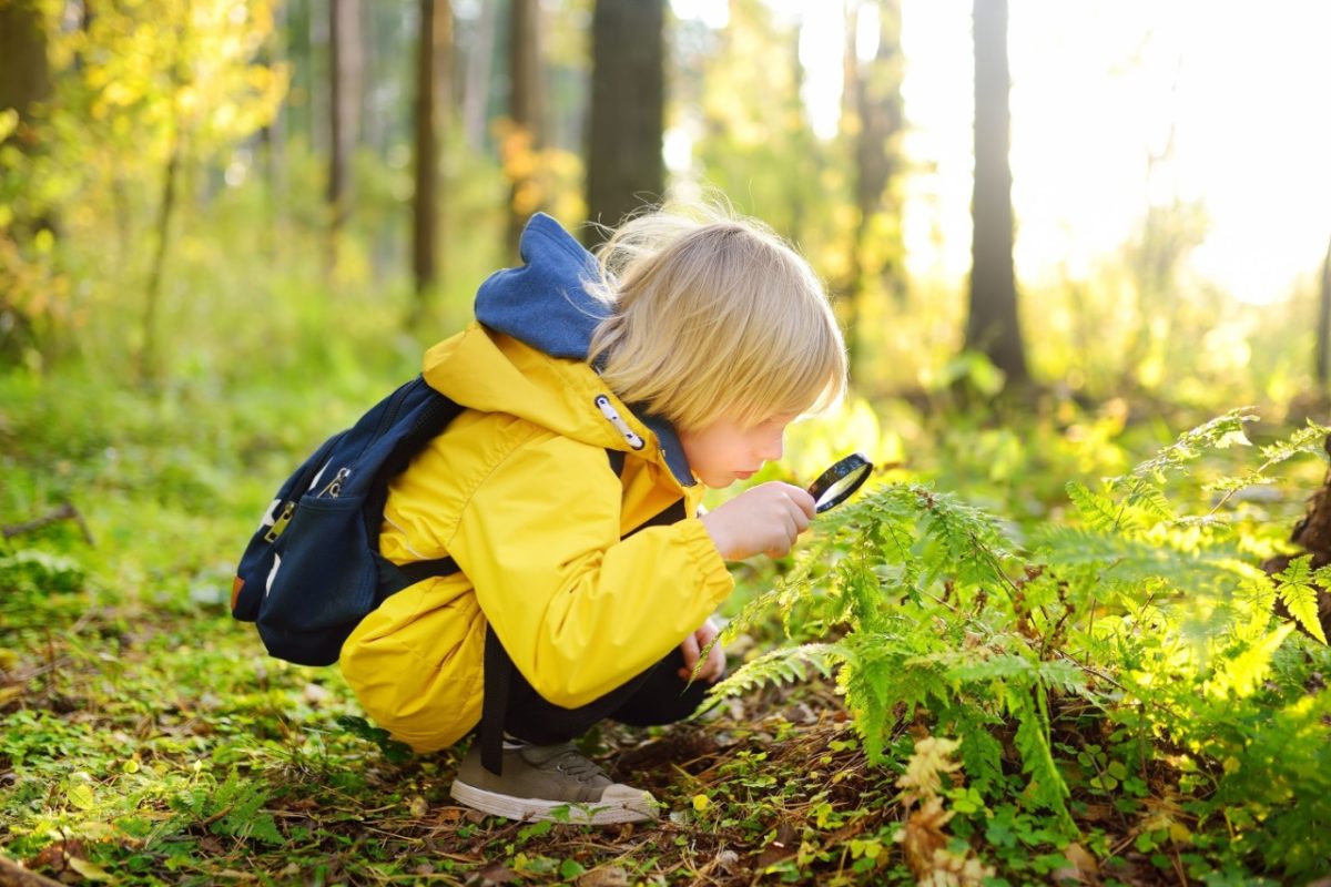 A boy using a magnifying glass in the woods.